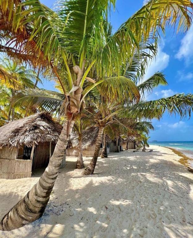 San-Blas Islas Gunayala Panama Warsobtugua Habitación foto